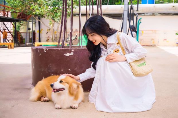 Tour du lịch Đà Lạt Tết 2023 - puppy farm