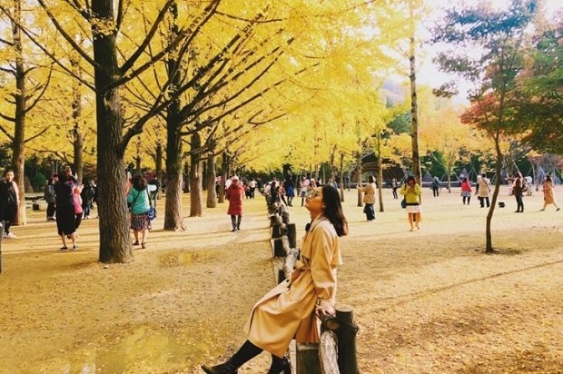 Tour du lịch Hàn Quốc 2022 từ TP. HCM - Mùa thu lá vàng