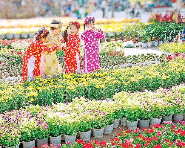 Tour du lịch miền Tây Tết 2023 - xuân về trên miền Tây