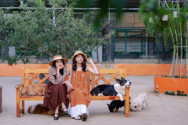 Tour du lịch T&acirc;y Nguy&ecirc;n Tết 2023 - puppy farm