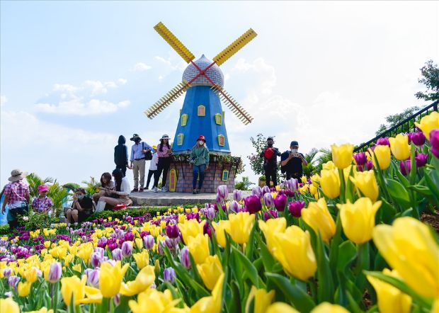 Tour du lịch Tết Nguyên Đán 2023 từ Hồ Chí Minh - Tây Ninh