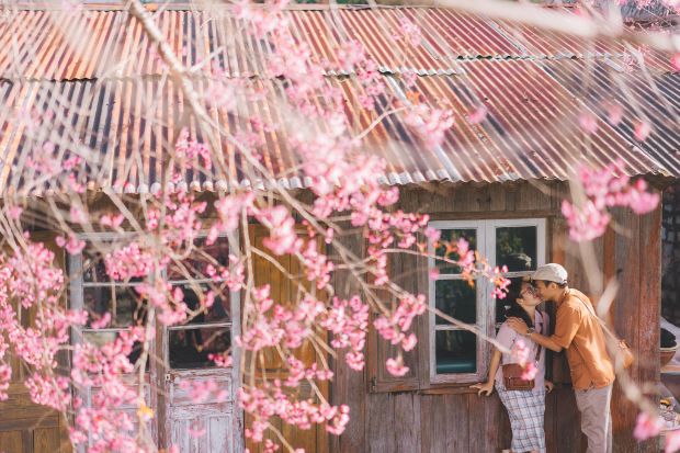 Tour du lịch Tết Nguyên Đán 2023 từ Hồ Chí Minh - Đà Lạt