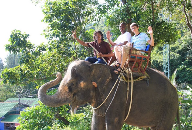 Tour du lịch Thái Lan từ Hà Nội - Làng voi Pattaya
