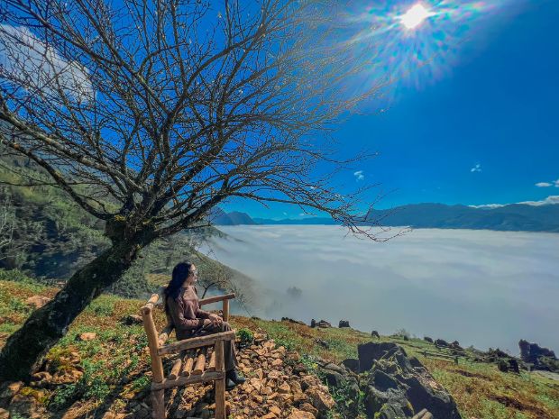 Tour Tết 2023 bằng đường bộ - Sapa