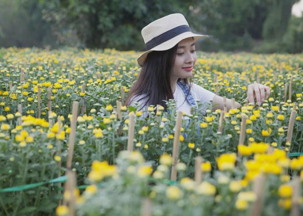 Tour tết trong nước 2023 - làng hoa Bà Bộ những dịp Tết