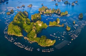 Vé máy bay Đà Nẵng đi Vân Đồn giá rẻ