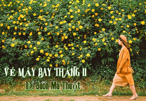 Vé máy bay đi Buôn Ma Thuột tháng 11 