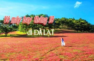 Đừng bỏ lỡ vé máy bay đi Đà Lạt tháng 10 giá ưu đãi từ 99.000Đ