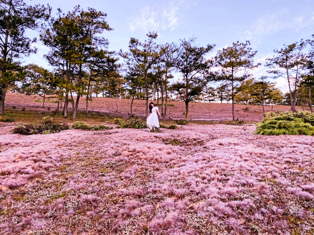 V&eacute; m&aacute;y bay đi Đ&agrave; Lạt th&aacute;ng 10