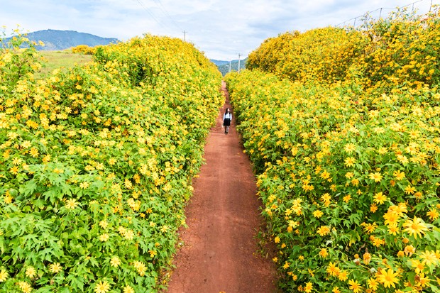 V&eacute; m&aacute;y bay đi Đ&agrave; Lạt th&aacute;ng 10