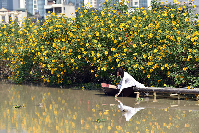 V&eacute; m&aacute;y bay đi H&agrave; Nội th&aacute;ng 11 gi&aacute; rẻ