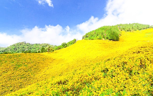 V&eacute; m&aacute;y bay đi Pleiku th&aacute;ng 10 gi&aacute; rẻ