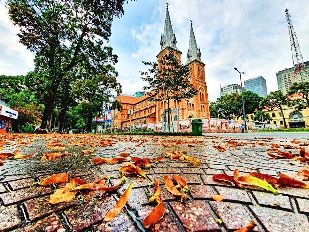 Vé máy bay đi TPHCM tháng 11