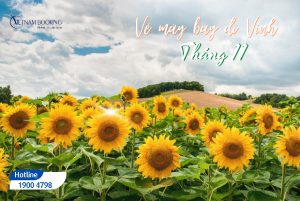 Đừng bỏ lỡ vé máy bay đi Vinh tháng 11, chỉ từ 99.000Đ