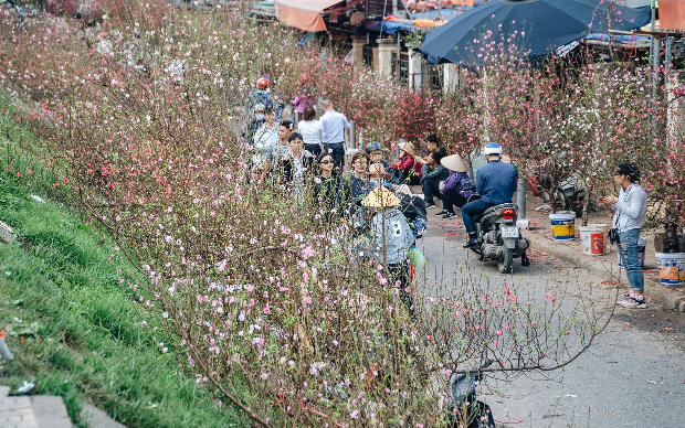 v&eacute; m&aacute;y bay Tết 2023