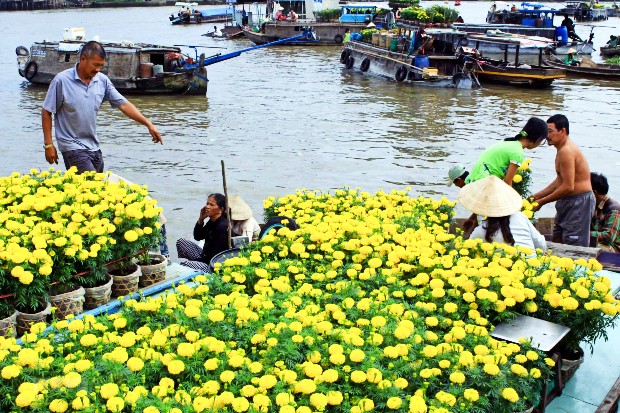 vé máy bay Tết Đà Nẵng đi Cần Thơ