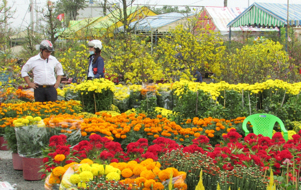 Vé máy bay Tết 2024 Đà Nẵng đi Phú Quốc