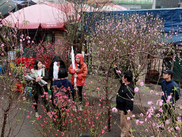 Vé máy bay Tết 2024 Đà Nẵng đi Thanh Hóa 