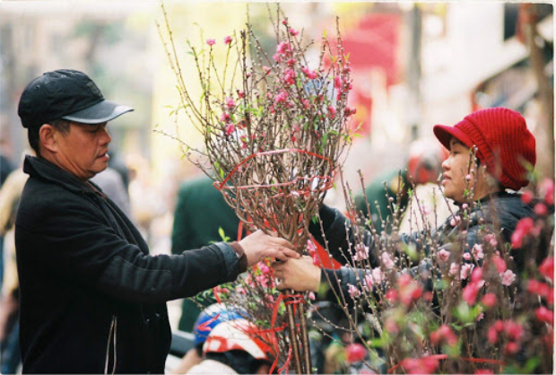 Vé máy bay Tết 2024 Sài Gòn đi Vân Đồn