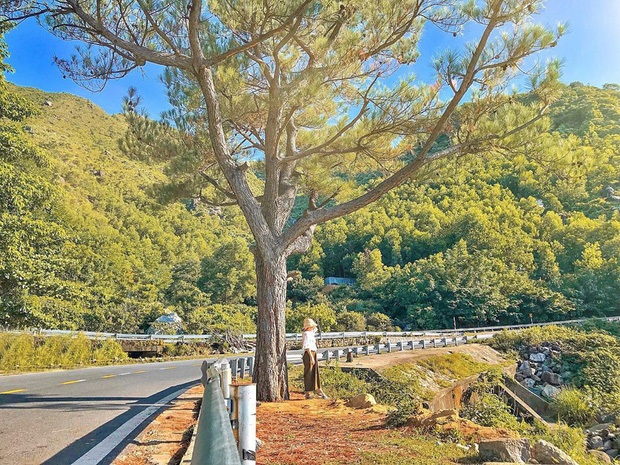 Đà Nẵng thiên đường du lịch - Đèo Hải Vân