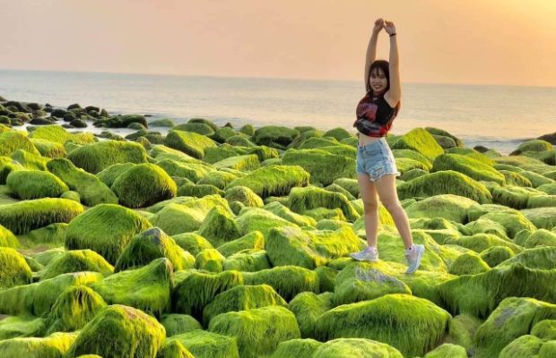 Du lịch Phú Yên Quy Nhơn Vietnambooking - bãi rêu