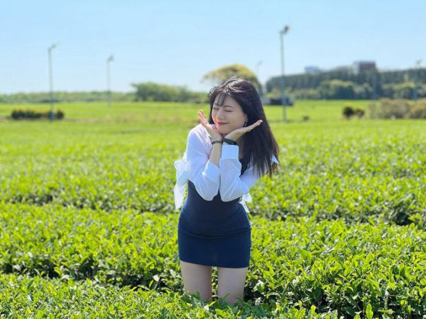 Tour H&agrave;n Quốc Tết 2024 - c&aacute;nh đồng tr&agrave; lớn nhất H&agrave;n Quốc