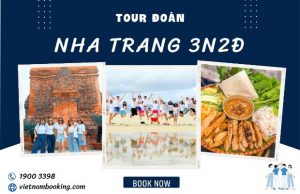 Tour khách đoàn Nha Trang 3 ngày 2 đêm dành cho công nhân viên | Tháp Bà Ponagar, Làng Yến