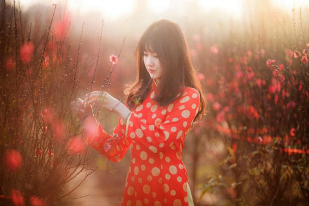 Tour tết 2023 bằng m&aacute;y bay - h&agrave; nội