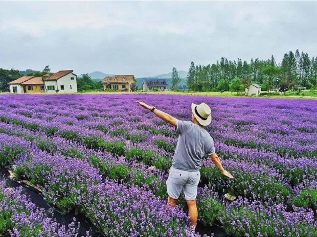 Tour theo yêu cầu bay Đà Lạt 3N2Đ - Vườn hoa Đà Lạt