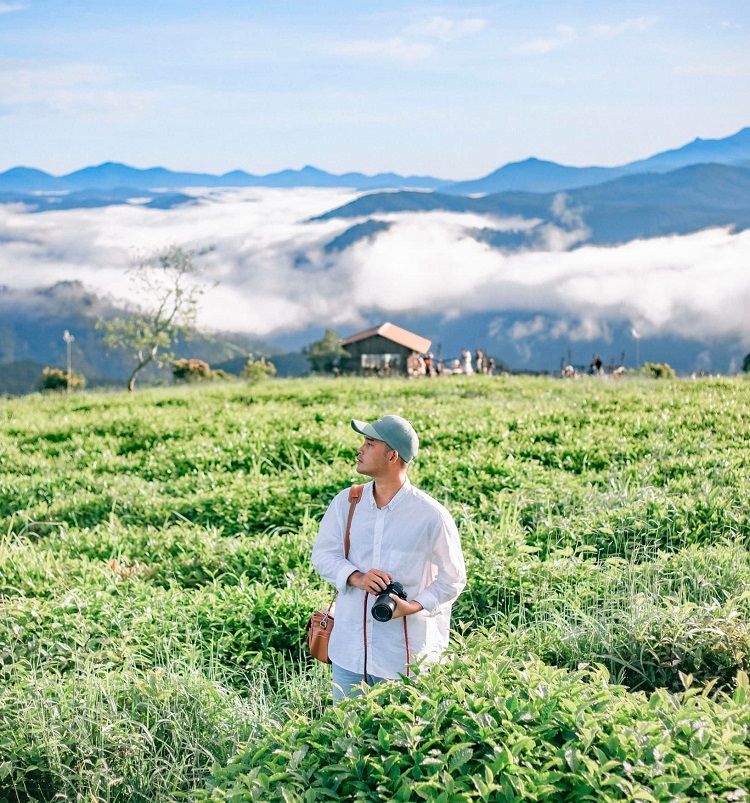Đừng quên trải nghiệm săn mây, ngắm đồi chè xanh mát khi đến đồi chè Cầu Đất đồi chè Cầu Đất