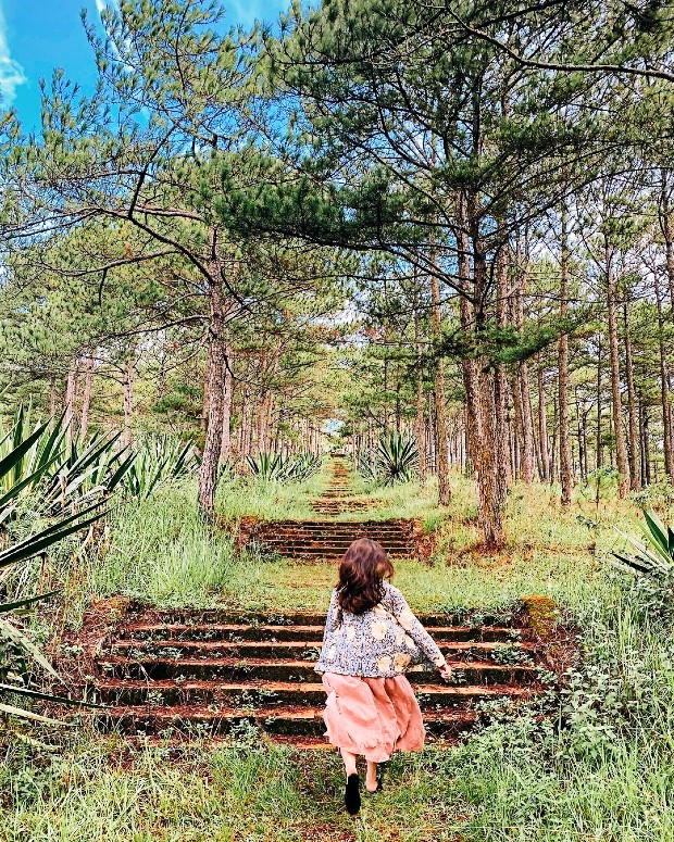 V&eacute; m&aacute;y bay Đ&agrave; Nẵng đi Đ&agrave; Lạt Bamboo