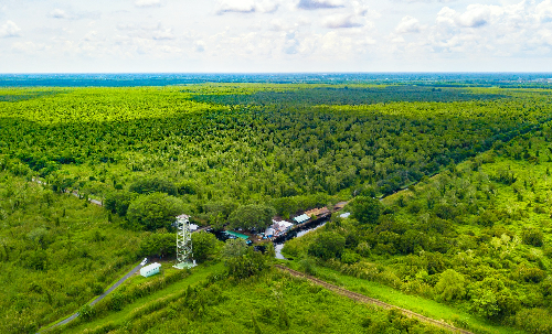 vé máy bay từ Hải Phòng đi Cà Mau