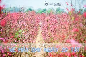 Vé máy bay ngày 29 Tết bắt đầu “Tăng tốc” vẫn có nhiều hành trình bay ưu đãi từ 99.000Đ