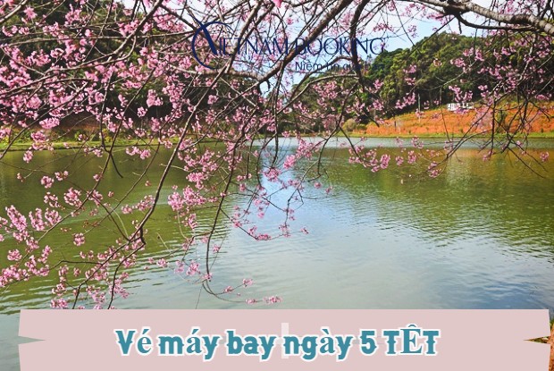 Vé máy bay ngày 5 Tết