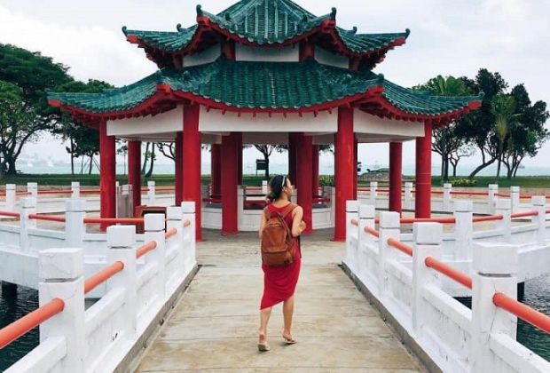 Cấc địa điểm du lịch Singapore - bảo tàng rùa