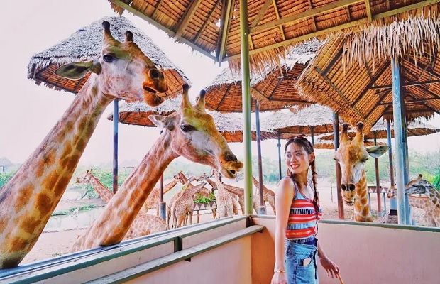 Chi phí du lịch Thái Lan - Safari World Bangkok