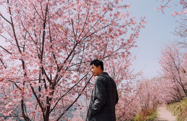 Du lịch Đài Loan tự túc 2023 - mùa xuân