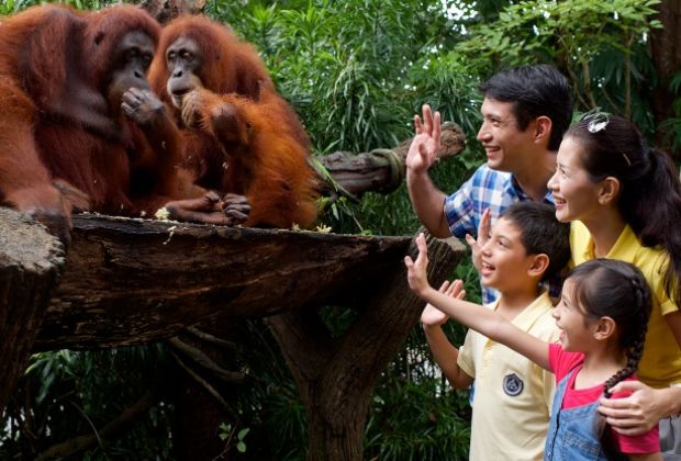 Du lịch Singapore tự t&uacute;c hết bao nhi&ecirc;u - sở th&uacute; Singapore