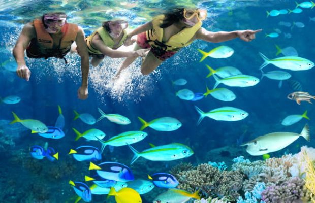 Singapore địa điểm du lịch - Adventure Cove Waterpark