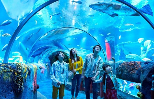 Singapore địa điểm du lịch - thủy cung Singapore