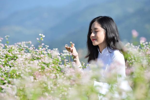 Tour đi H&agrave; Giang 3 ng&agrave;y 2 đ&ecirc;m - hoa tam gi&aacute;c mạch