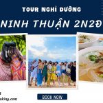 Tour du lịch nghỉ dưỡng 2 ngày 2 đêm: Tận hưởng vẻ đẹp hoang sơ kỳ ảo tại Vĩnh Hy – Ninh Chữ