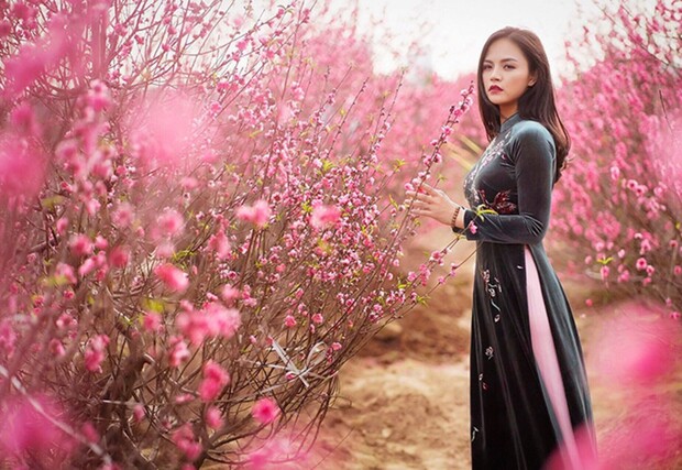 Tour du lịch Tết Nguyên Đán 2023 từ Đà Nẵng - Hà Nội