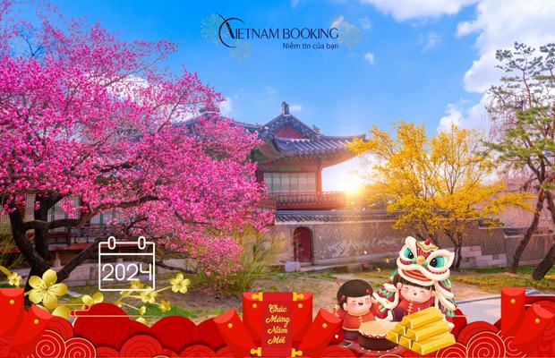 Sắc màu ngàn hoa rực rỡ khoe sắc cùng tour Hàn Quốc Tết 2024