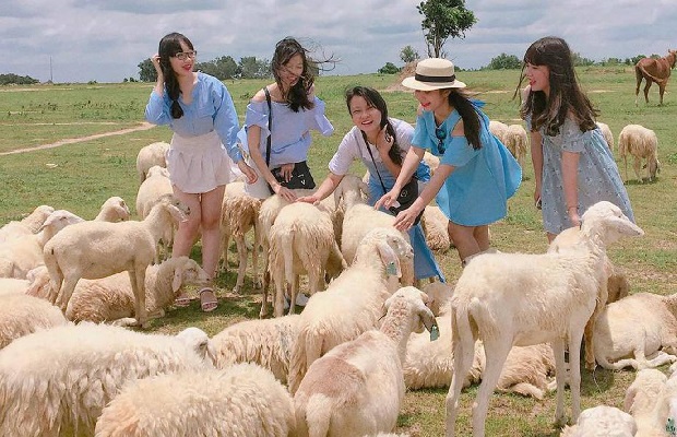 Tour Long Hải teambuilding Gala Dinner 2 ngày 1 đêm: Tham quan núi Minh Đạm – Check in Đồng Cừu