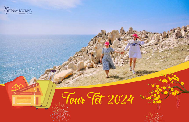 Tour Tết Ninh Chữ Vĩnh Hy 3N2Đ – Đi tàu đáy kính ngắm san hô, check in đồng cừu đón năm mới