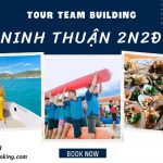 Du lịch Ninh Chữ – Tour Teambuilding Gala Dinner 2 ngày 1 đêm | Vịnh Vĩnh Hy, Vườn Nho, Làng Gốm Bàu Trúc