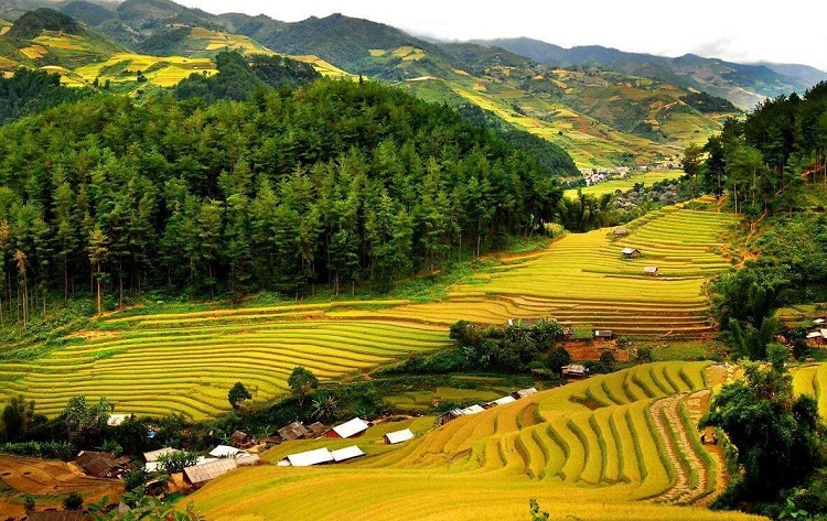 Vé máy bay Buôn Ma Thuột Thanh Hóa