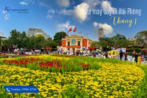 Đặt ngay vé máy bay đi Hải Phòng tháng 1, chỉ 109.000Đ