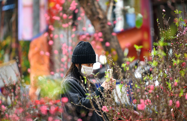 vé máy bay Tết đi Hải Phòng